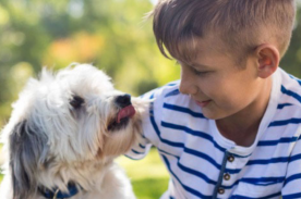 Giochi da fare al parco con il tuo cane