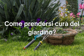 Guida alla cura del prato e delle piante in primavera