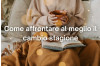 Come organizzarti per il cambio stagione